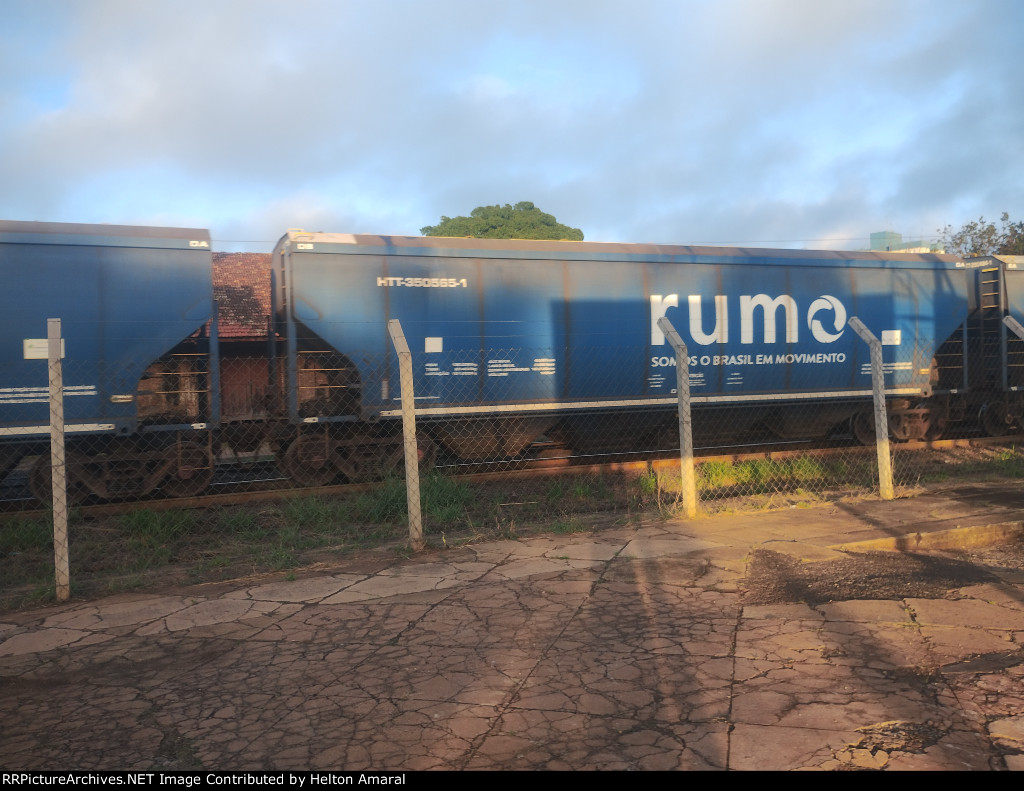 RUMO HTT-350565-1